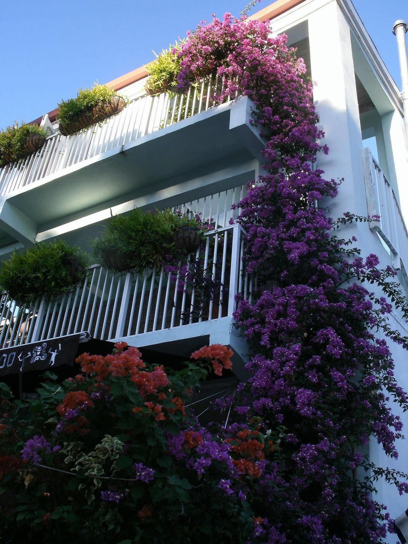 Cruz Bay Boutique Hotel Buitenkant foto